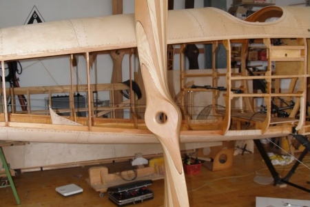 Albatros-1