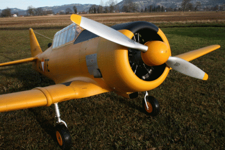 at-6-_6