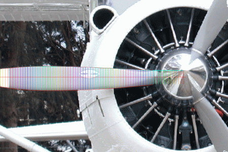 beaver-7