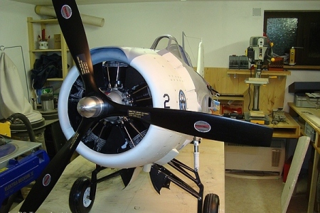 Wildcat-1