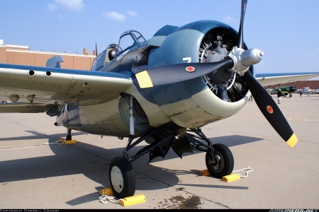 Wildcat