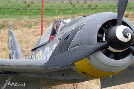 fw-190-6