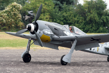 fw-190-8