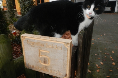 Hausnummer-6