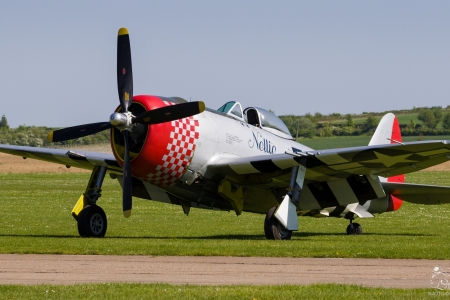 P47_Hamilton-2