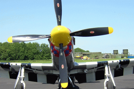 p51-2