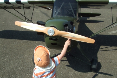 Piper-Cup-2