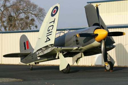 4-Wings-folded-up