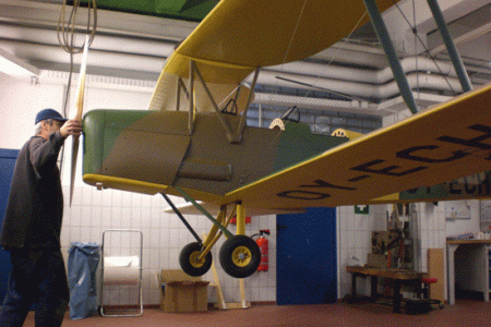 tigerm-4