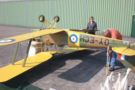 tigerm-6