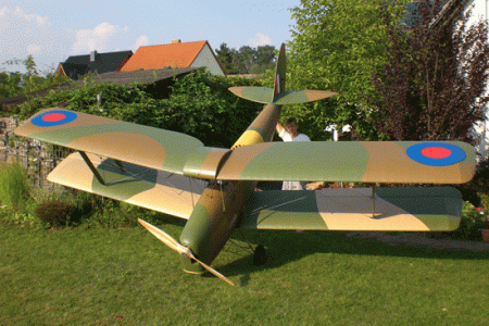 tigerm-8
