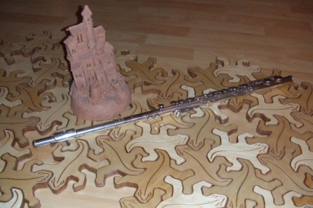 Untersetzer-Echse-6